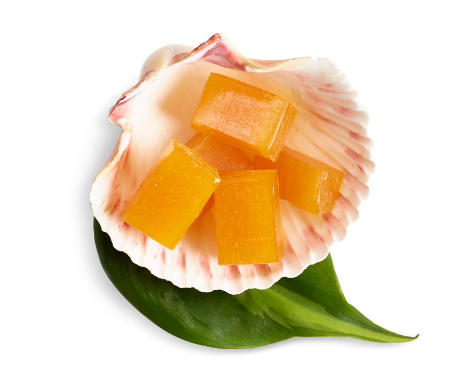 Coral Reefer THC Fruit Jellies — Cannabis Edibles